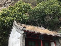 -北京鹫峰国家森林公园