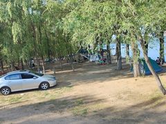 -丁香湖公园