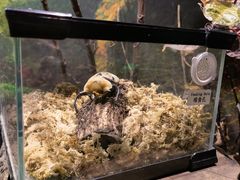 -正佳雨林生态植物园