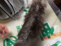 -瑞派宠物医院·24h·骨外科·皮肤科·全科宠物医疗转诊中心(沈阳浑南院)