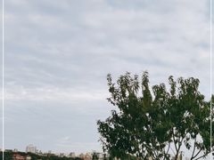 -西湖游船