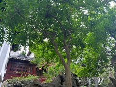 -豫园