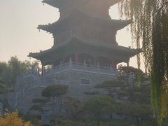 -迎泽公园