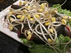 -一斗火锅·招财羊毛肚(泰吉滨江店)