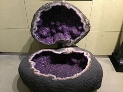 -中华赏石园