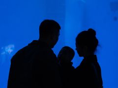 -海合安成都极地海洋公园