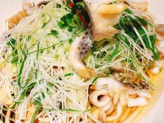 黑鱼花-三猫黑鱼花(南大店)