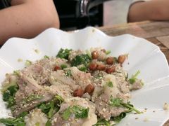 -东鸽皇(奥园·中环广场店)