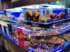 -同庆楼(天鹅酒家店)