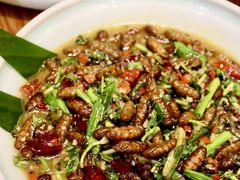 -老滇山寨•云南特色菜•地方菜•民族风情歌舞表演(金碧店)