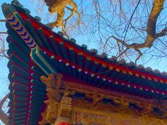 -贤良祠
