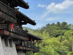 -大唐贡茶院