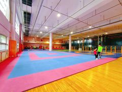 -武术世家少儿培训中心(首都体育学院店)