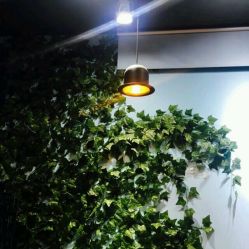 -柯琳造型
