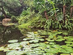 -晓港公园