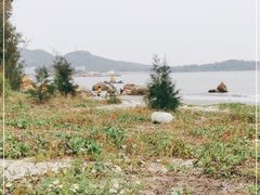 -西澳岛