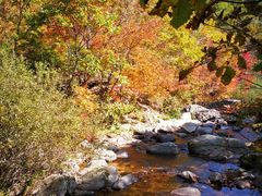 -丹东天桥沟景区
