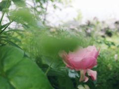 -成都中医药大学(温江校区)