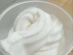 -洪馨椰子