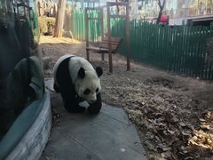 -大连森林动物园