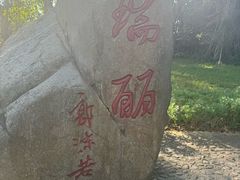 -瑞丽独树成林风景区