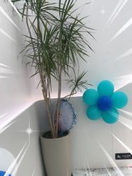 -LJOY丽锦造型·烫发染发