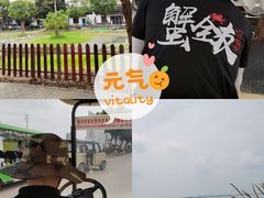 -七的湖·晚芳亭·阳澄湖农家菜·大闸蟹(莲花岛店)
