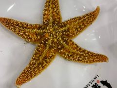 -澜悦港海鲜体验主题餐厅