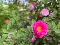 -滨河世纪广场公园