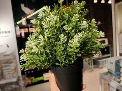 -宜家家居(哈尔滨商场店)