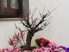 -耦园