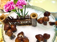 -喜聚薈·花膠雞海鮮火鍋(越秀店)