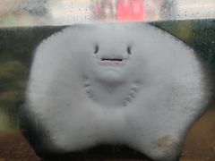 -鸿通城购物中心