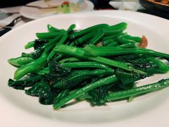 白灼广东芥兰-港丽餐厅