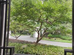 -杭州西湖柳莺里酒店·闻莺厅