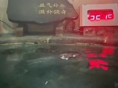 -泉城欧乐堡戏水湾艺术养生温泉