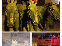 -厦门方特梦幻王国