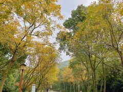 -穹窿山景区