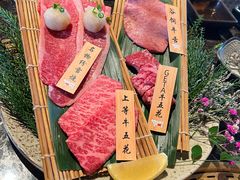 -老乾杯(深圳湾万象城店)