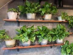 -帽帽家只卖生蚝·烧烤(沙湖路店)