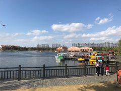 -上海长兴岛郊野公园