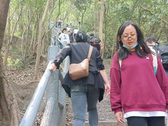 -紫金山山顶公园