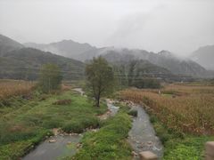 -驼梁风景区