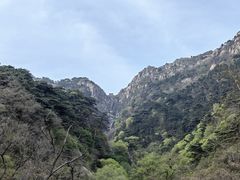 -泰山风景名胜区
