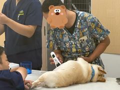-康成宠物医院24H·CT·核磁共振