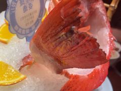 -东海怡品海鲜豆捞(舟宿夜江店)
