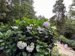 -寂照庵