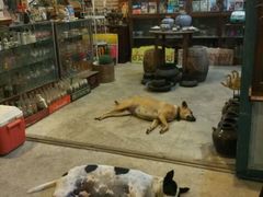 -席娜卡琳火车铁道夜市