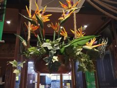 -云海肴云南菜·蒸汽石锅鱼(北京良乡华冠店)