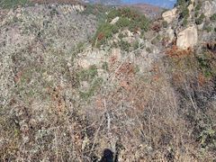 -黑龙潭风景区